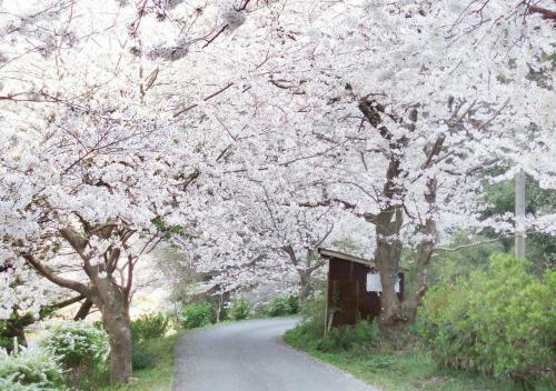 Nishiizu Matsuzaki Itoen Hotel