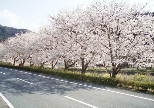 Nishiizu Matsuzaki Itoen Hotel