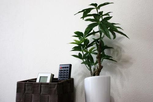 Apartamento Pure Tenjin