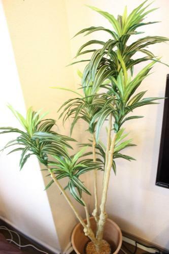 Apartamento Pure Tenjin