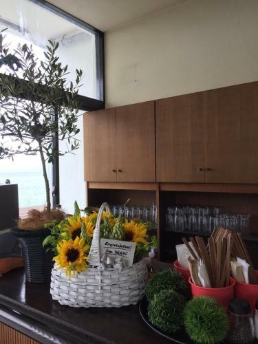 Hostal Awaji Tt House Pacific Over Seas