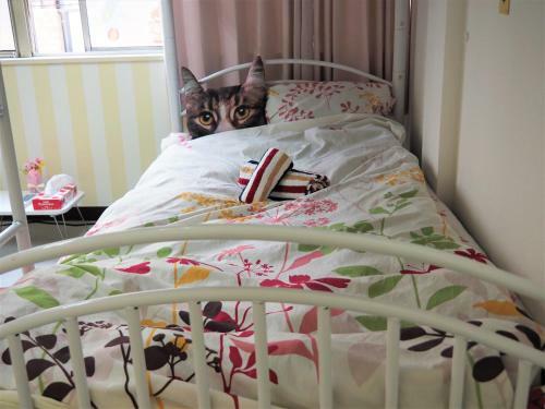 Hostal Tokyo Gogo House