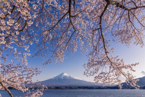 Senjo Lakekawaguchiko