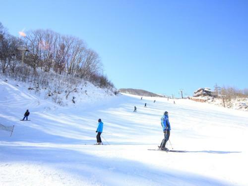 Hotel Auberge La Chaumi�re