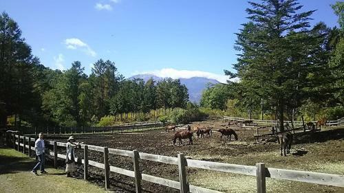 Hostal Lodge Jotenki