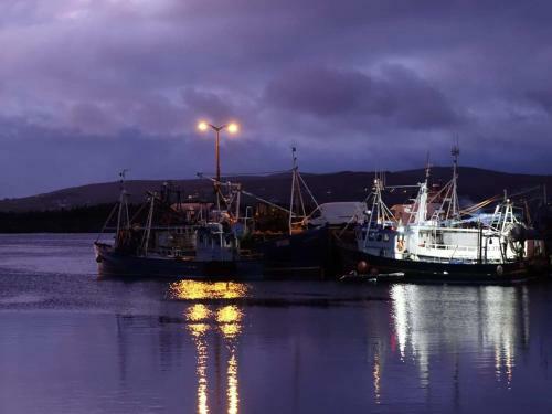 Careys Viking House Hotel