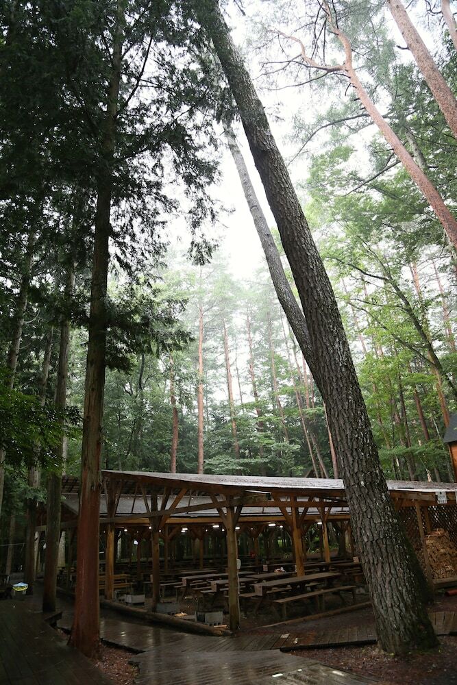 Lodge Qooneltas Container House In The Forest