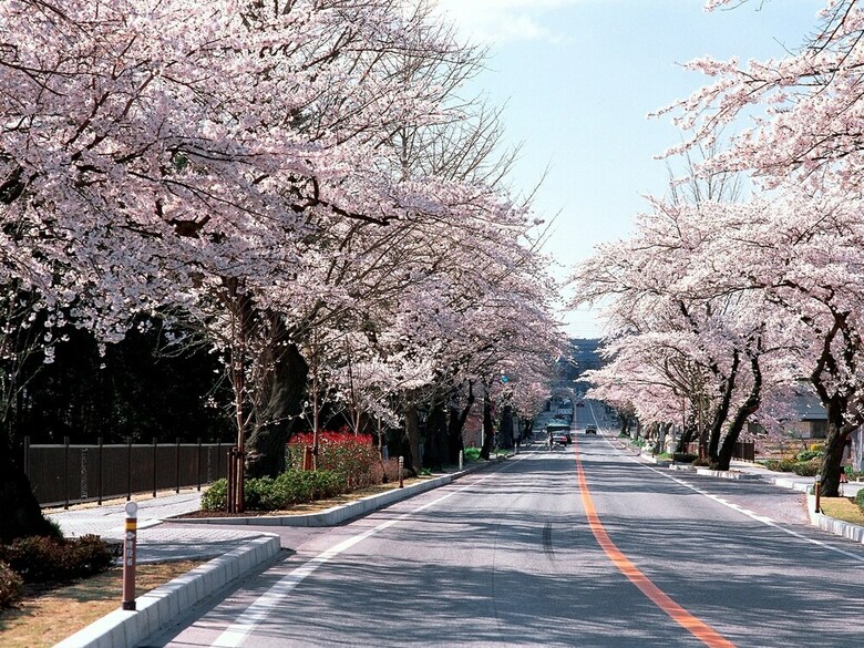 Hamabeno Ryouriyado Houraikan
