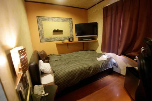 Hotel Satellite