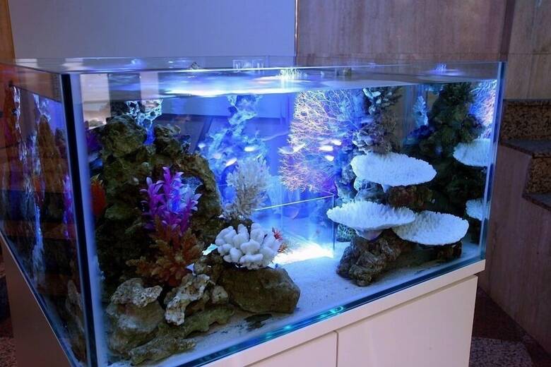 Hotel Aqua Blue Yokosuka (Adult Only)
