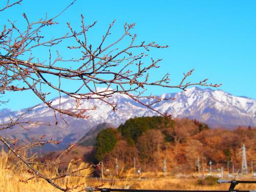 Hostal Sanga Nikko