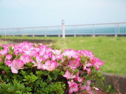 Hotel Wisterian Life Club Atami
