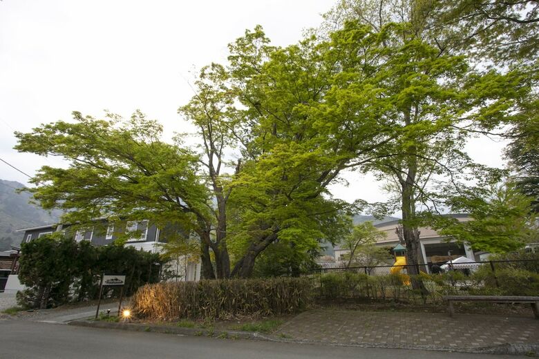 Aparthotel Villa Yushin