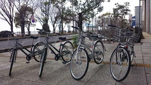 Hotel Piazza Biwako