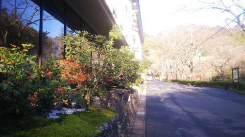 Sanage Onsen Hotel Kinsenkaku