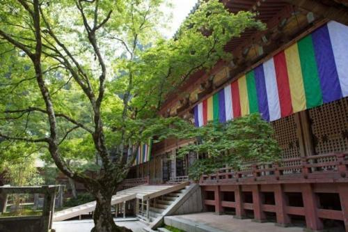 Apartamentos Otsu Station Guest House Kyo-otsu