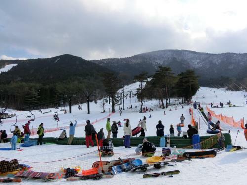 Hotel Snow Resort Nekoyama Log Cottage