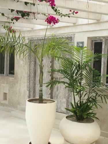 The Villa Luxury Suites Hotel