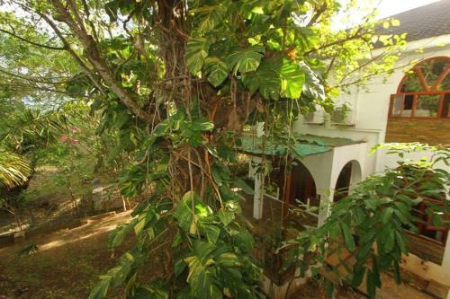 Hotel Kilifi Maghreb