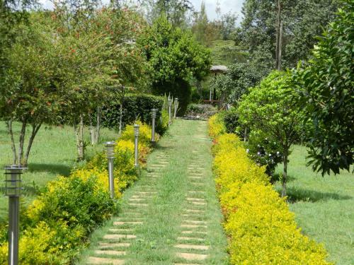 Lalanasi Lodge & Tented Camp