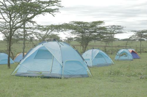 Lalanasi Lodge & Tented Camp