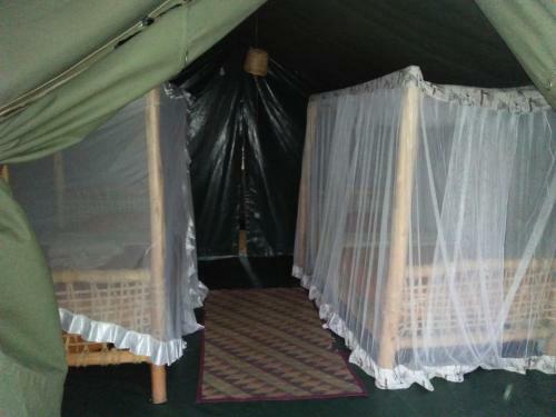 Crocodile Camp-masai Mara