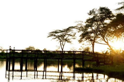 Voyager Ziwani Tented Camp