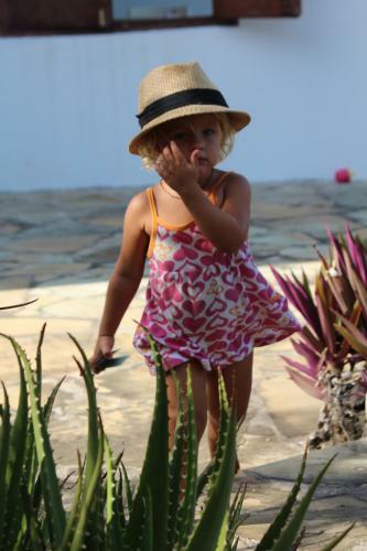 Clamkara Beach House