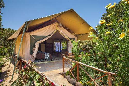 Rhino Watch Safarilodge
