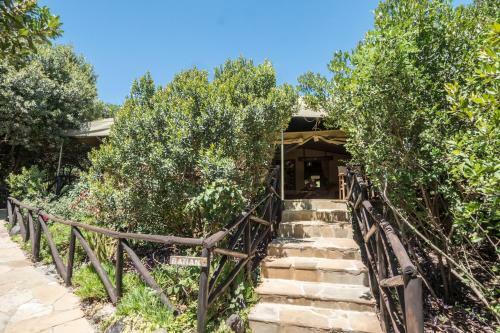 Rhino Watch Safarilodge