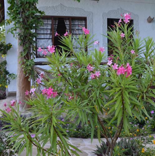 Coast Sun Gardens Cottage