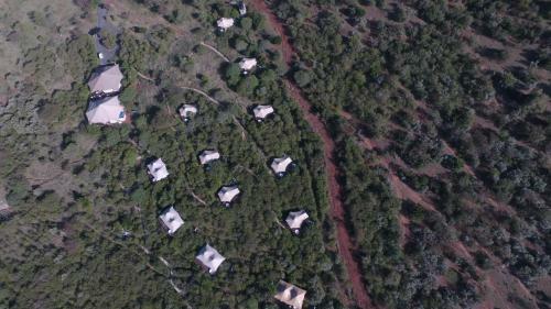 Emayian Luxury Camp