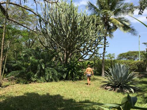 Shambani Cottages