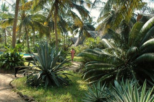 Shambani Cottages