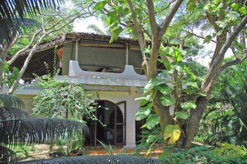 Shambani Cottages