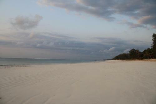 Diani Marine