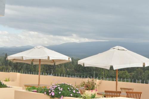Peaks Hotel Nanyuki