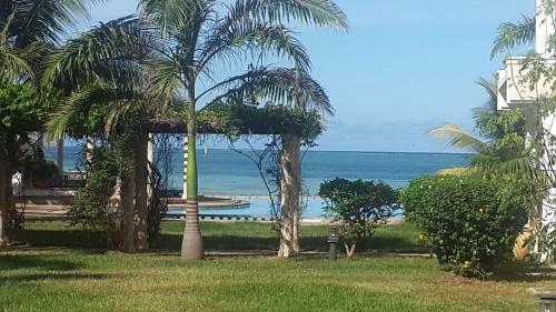 Apartamento Almasi Oceanfront Nyali