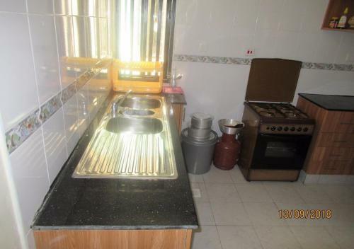 Lakeview Lux Apartment