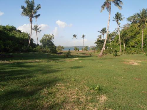 Villa Tropical Garden House