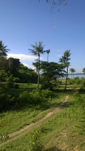 Villa Tropical Garden House