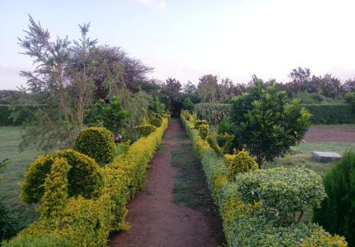 Hotel Paran Resort