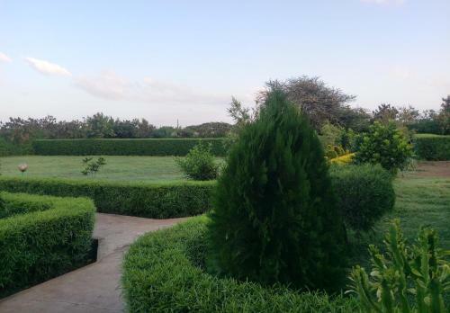Hotel Paran Resort