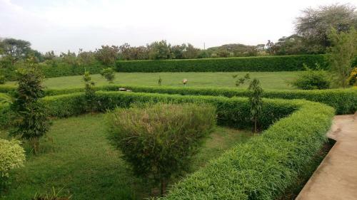 Hotel Paran Resort