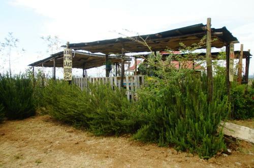 Agroturismo Imani Cottage