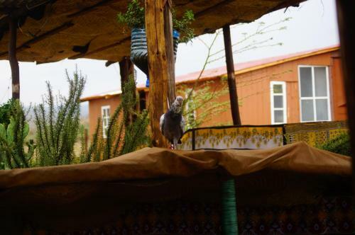 Agroturismo Imani Cottage