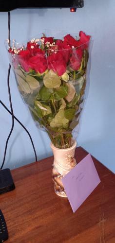 Qw�tu Homestay