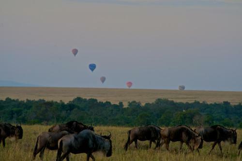 Mara Explorer Tented Camp