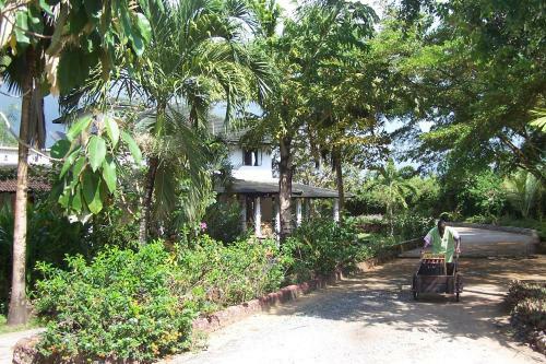 Hotel Pinewood Beach Resort And Spa