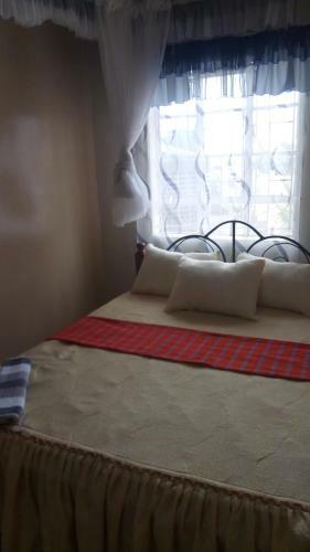Hostal Palm Nest - Near Jkia